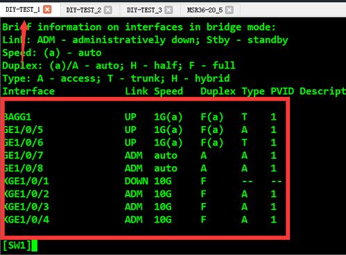 网络工程师进阶篇 解析堆叠分裂